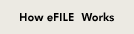 E - Filing Info