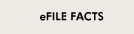 E - Filing Info